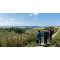 Image of Full Day South Downs Walking Adventure with Pub Lunch and a Glass of Wine for One