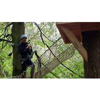 Image of Tree Top Trials The Pioneer Experience for an Adult and a Child