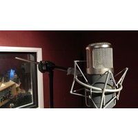 Image of Family Professional Voice Recording of Two Songs at Midi Madness