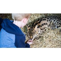 Image of One Hour Choice of Animal Experience for Two at Hoo Farm Animal Kingdom