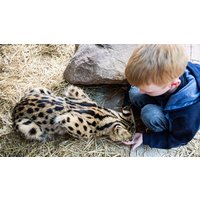 Image of One Hour Choice of Animal Experience for a Family at Hoo Farm Animal Kingdom