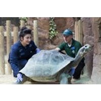 Image of Keeper for a Day Experience at ZSL Whipsnade Zoo