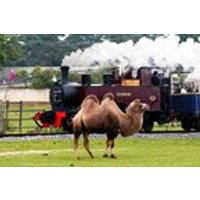 Image of Family Entry to ZSL Whipsnade Zoo