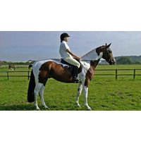 Image of Horseriding at Halsall Riding Centre for Two