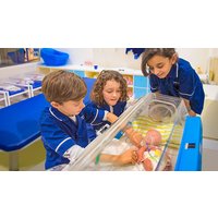 Image of Three Hour Off-Peak Entry for Two Adults and Two Children to KidZania