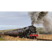 Image of Introduction to Steam Engine Driving with Churnet Valley Railway