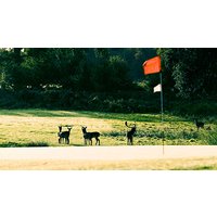 Image of Golf Masterclass with a PGA Pro and Lunch for Two at Marriott Forest of Arden