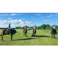 Image of Polo Game with Lunch at Taunton Vale Polo Club for One