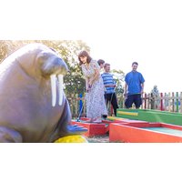 Image of Plonk Crazy Golf for a Family of Four