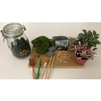 Image of 90 Minute Introductory Mini Ecosystem Workshop with Prosecco at Botanical Boys