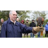 Image of Bird of Prey Falconry Experience