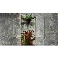 Image of A Jarrarium and Aquatic Landscape Masterclass for Two in East London