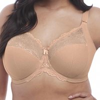 Click to view product details and reviews for Meredith Underwired Banded Bra. Click to view product details and reviews for Meredith Underwired Banded Bra.
