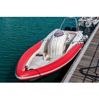 Boats Group Deal Enjoy 22% Discount on 2008 Cougar R10 Model