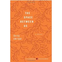 The Space Between Us (P.S.)