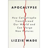 Apocalypse: How Catastrophe Transformed Our World and Can Forge New Futures