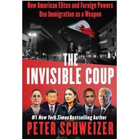 The Invisible Coup: How American Elites and Foreign Powers Use Immigration as a Weapon