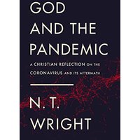 God and the Pandemic: A Christian Reflection on the Coronavirus and Its Aftermath
