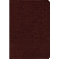 Amplified Holy Bible (Thumb Indexed, Burgundy Bonded Leather)