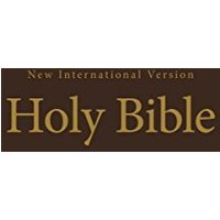 NIV Value Pew and Worship Bible--hardcover, brown
