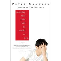 Someday This Pain Will Be Useful to You A Novel