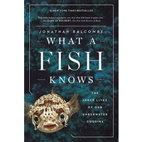 What a Fish Knows: The Inner Lives of Our Underwater Cousins