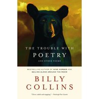 The Trouble with Poetry