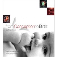 From Conception to Birth A Life Unfolds