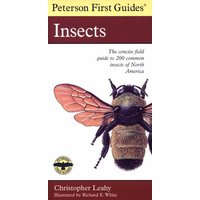Insects: The Concise Field Guide to 200 Common Insects of North America (Peterson First Guides)