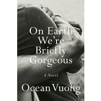 On Earth We're Briefly Gorgeous: A Novel