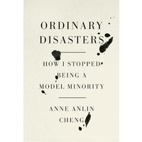 Ordinary Disasters: How I Stopped Being a Model Minority
