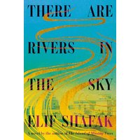 There Are Rivers in the Sky A novel