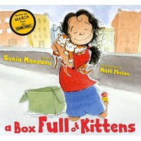 A Box Full of Kittens