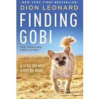 Finding Gobi: A Little Dog with a Very Big Heart