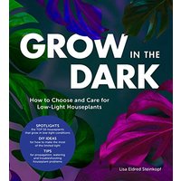 Grow in the Dark: How to Choose and Care for Low-Light Houseplants