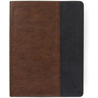 CSB Men of Character Bible--soft leather-look, brown/black