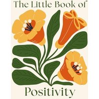 The Little Book of Positivity (Pocket Mindfulness)