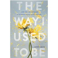 The Way I Used to Be (Bk. 1)