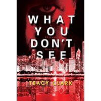 What You Don't See (A Chicago Mystery, Bk. 3)