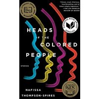 Heads of the Colored People- Stories