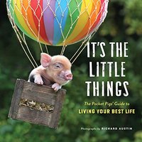 It's the Little Things The Pocket Pigs' Guide to Living Your Best Life (Inspiration Book, Gift Book,