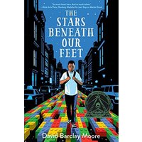 The Stars Beneath Our Feet