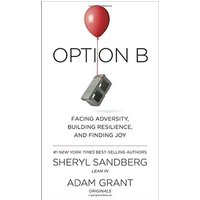 Option B: Facing Adversity, Building Resilience, and Finding Joy