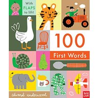 100 First Words: With Flaps to Lift