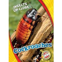 Cockroaches (Insects Up Close, Blastoff! Readers, Level 1)