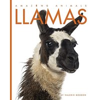 Llamas (Amazing Animals)