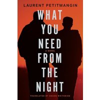 What You Need from the Night A Novel