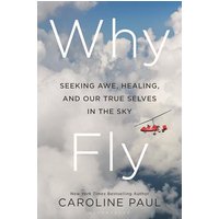 Why Fly: Seeking Awe, Healing, and Our True Selves in the Sky