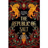 The Republic of Salt (The Mirror Realm Cycle, Bk. 2)
