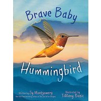 Brave Baby Hummingbird